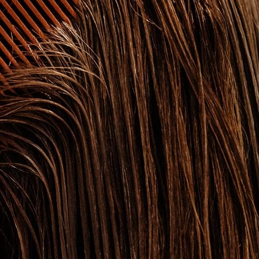 Haircut + Treatment + Blowout at Angelo’s Beauty Concept in Vineyard Haven, MA